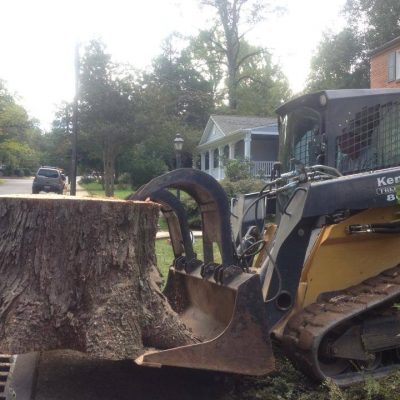 Tree Picker- picking up the tree log